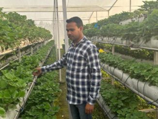 hydroponics farming india
