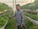 hydroponics farming india