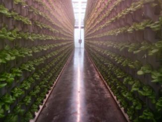 indoor farming environmental cost