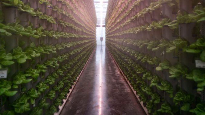 indoor farming environmental cost