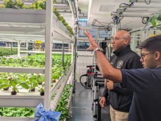 new york schools hydroponics