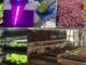 purdue hydroponics workshop