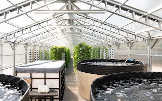 Jacksonville nonprofit FreshMinistries recently opened a new aquaponics urban farm to grow fresh produce and fish year round and provide specialized training for low-income people.