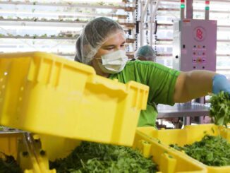 jackson hydroponic vertical farm