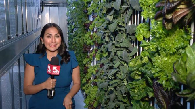 urban-league-hydroponic-greenhouse urban league hydroponic greenhouse