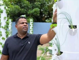 aeroponics jamaica