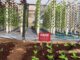 aeroponics garden south africa