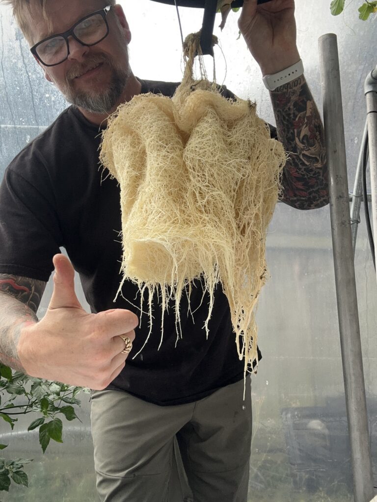 erik biksa editor grozine