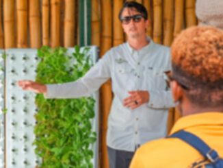 carribean vertical hydroponics