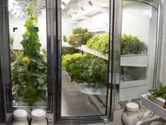 south pole hydroponics