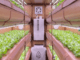 inflatable indoor hydroponic farm