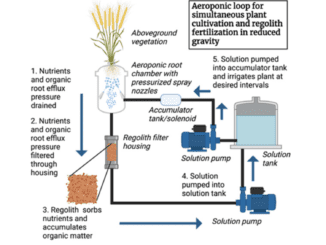 cultivating martian soil