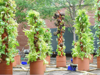 clay-3d-printed-hydroponics
