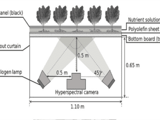 hydroponics-research-hyperspectral-analysis