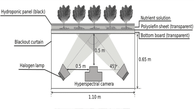 hydroponics-research-hyperspectral-analysis hydroponics-research-hyperspectral-analysis
