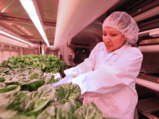 Sioux valley hydroponics facility