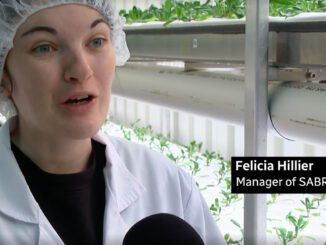 SARBI hydroponic farms