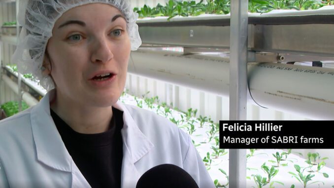 SARBI hydroponic farms