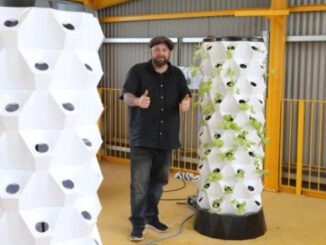 inverclyde shed hydroponics project vertical hydroponic system