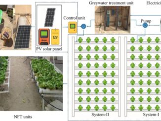 sustainable hydroponics production data