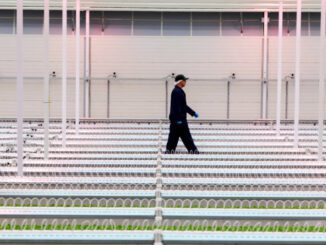 inside canadas first ai driven greenhouse