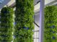 queens university phytotron cultivation systems