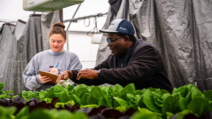 east-texas-A&M-hydroponics east texas A&M hydroponics program