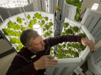 fork farms hydroponics milwaukee