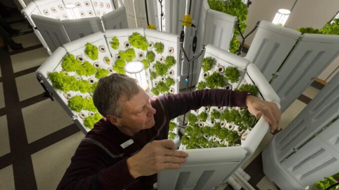 fork-farms-hydroponics-milwaukee fork farms hydroponics milwaukee