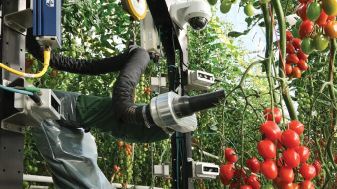 greenhouse-AI-&-robotics greenhouse ai & robotics