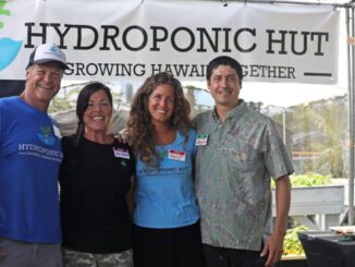 growing affordable produce with hydroponics