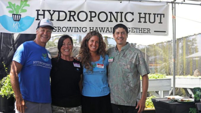 growing-affordable-produce-with-hydroponics growing affordable produce with hydroponics
