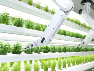 vertical farming lessons learned for future growth