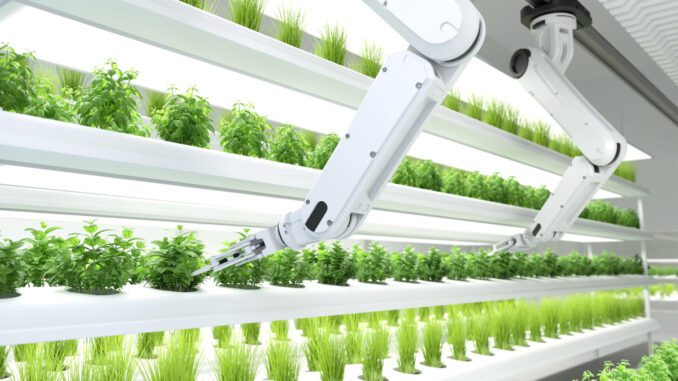 vertical-farming-lessons-learned vertical farming lessons learned for future growth