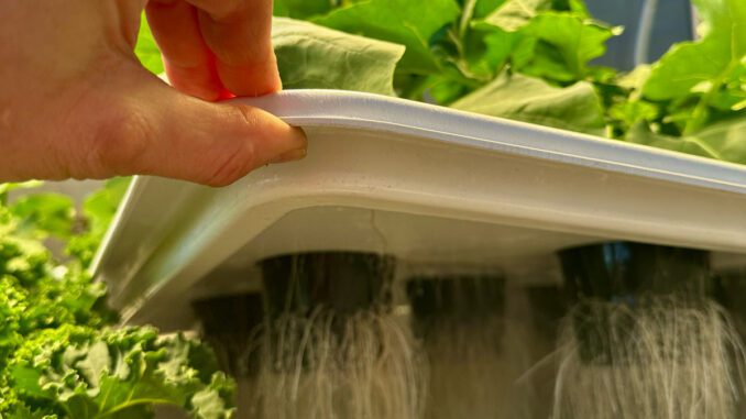 aeroponics-systems aeroponics systems