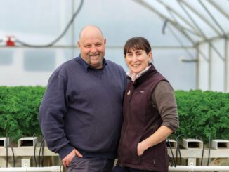 family-business-growing-greens