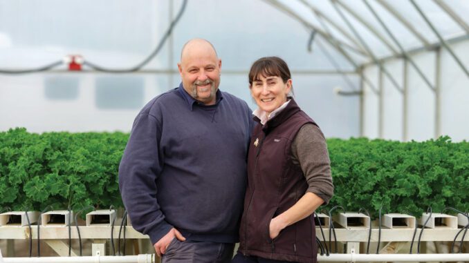 family-business-growing-greens family-business-growing-greens