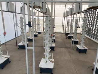 project grovert vertical farming study to improve food productions