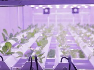 vertical farming the second act video