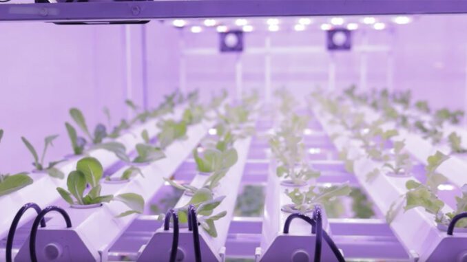 vertical-farming-the-second-act vertical farming the second act video