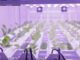 vertical farming the second act video