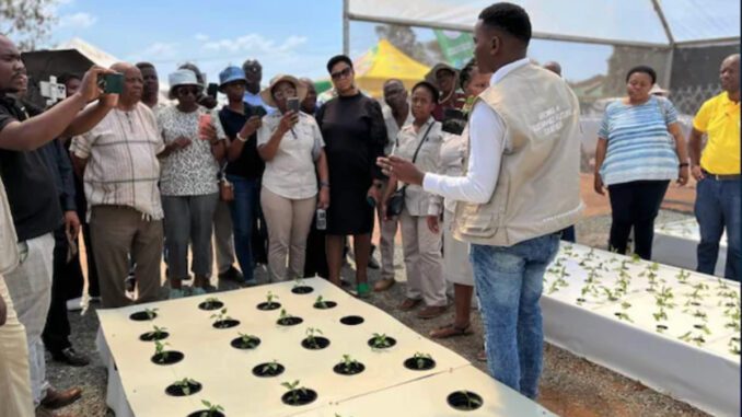 aquaponics farming africa
