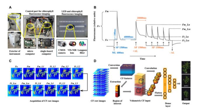 gene-edited-tomatoes-for-vertical-farming